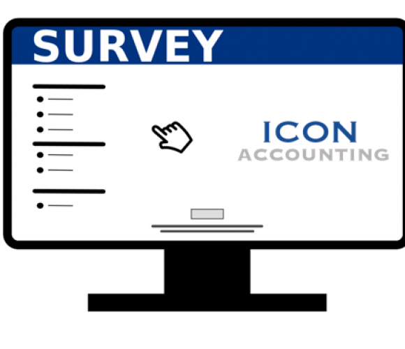 The Big Independent Professional Survey 2022